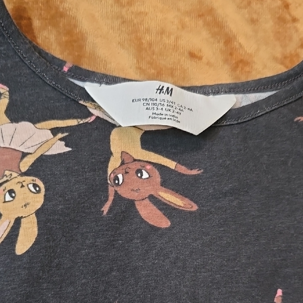 Adorable Grey Ballerina Bunny Dress 3/4 T - Picture 2 of 5